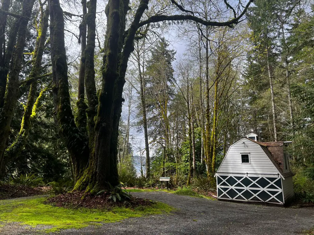 Belle-Baldwin-House-at-Fern-Cove