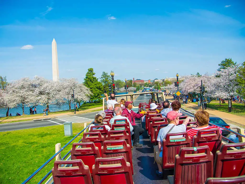 Cherry Blossoms Bus