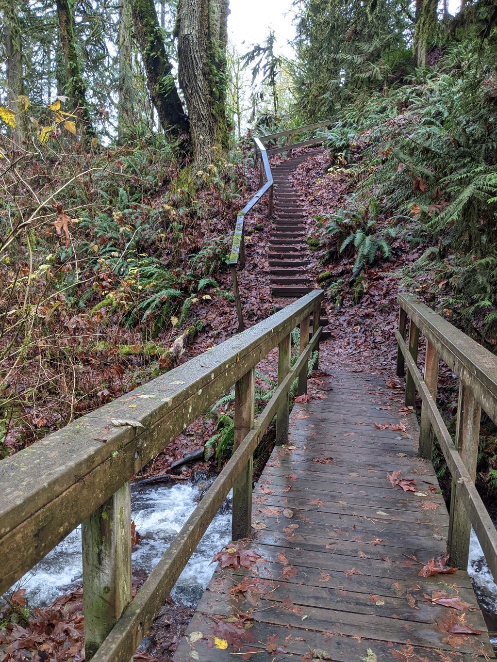 Flaming-Geyser-State-Park-1