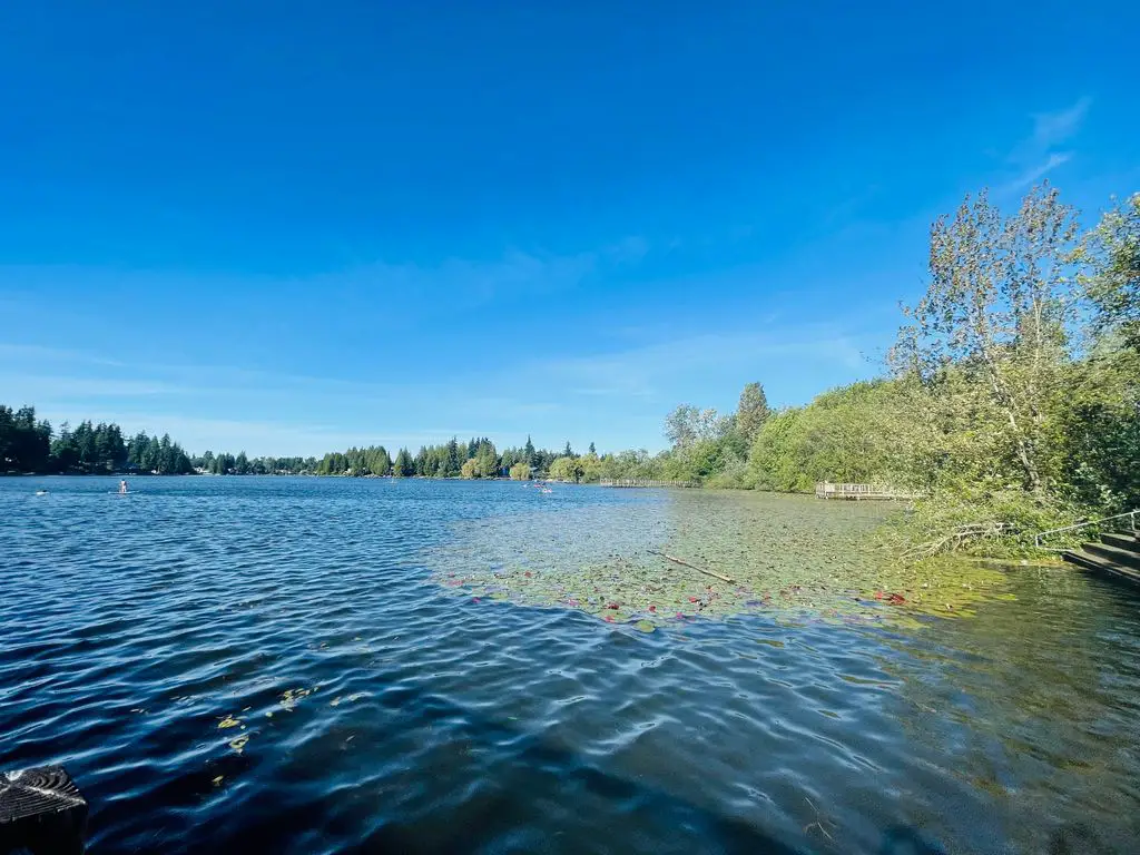 Unveiling the Secrets of Martha Lake: A Tour of Its 31 Historic Places ...