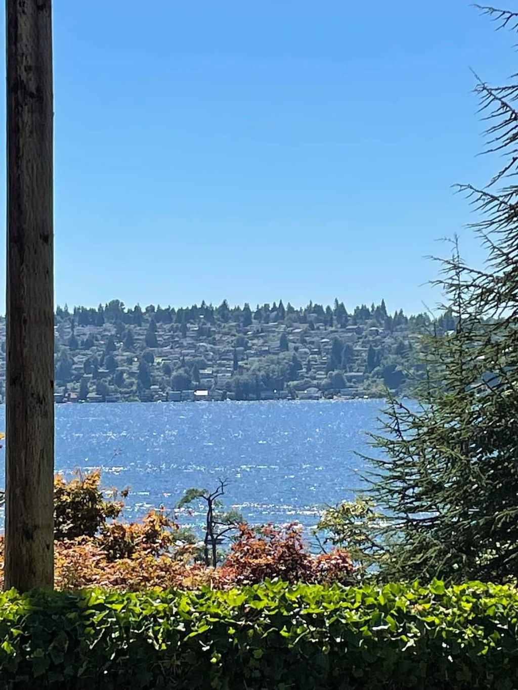 Mercer-Island-1