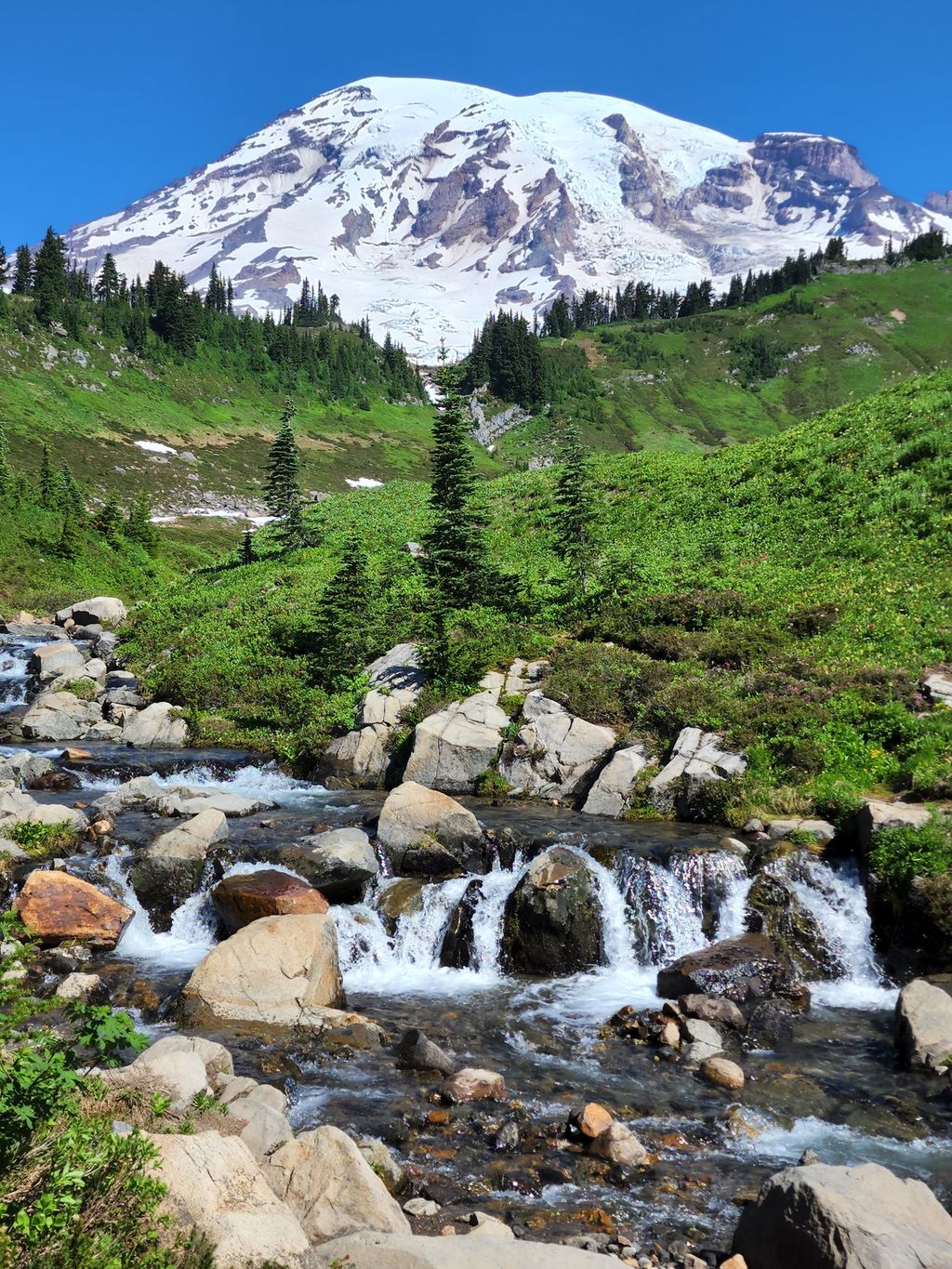 Mount-Rainier-National-Park