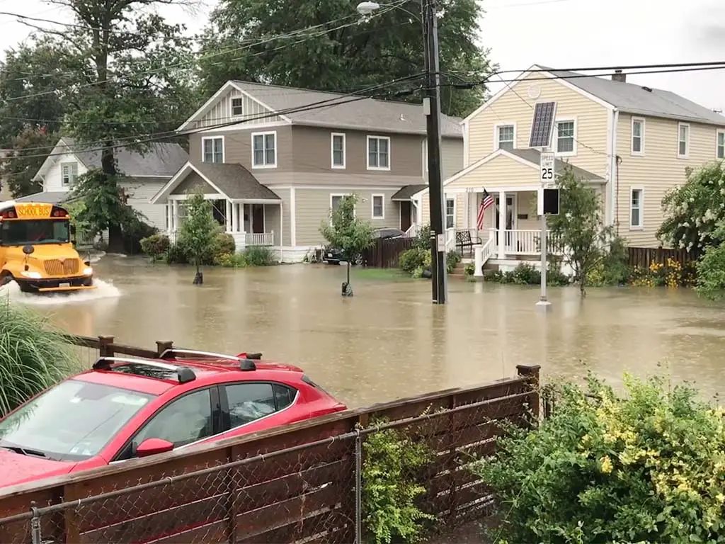 Understanding Flood Risks in D.C.