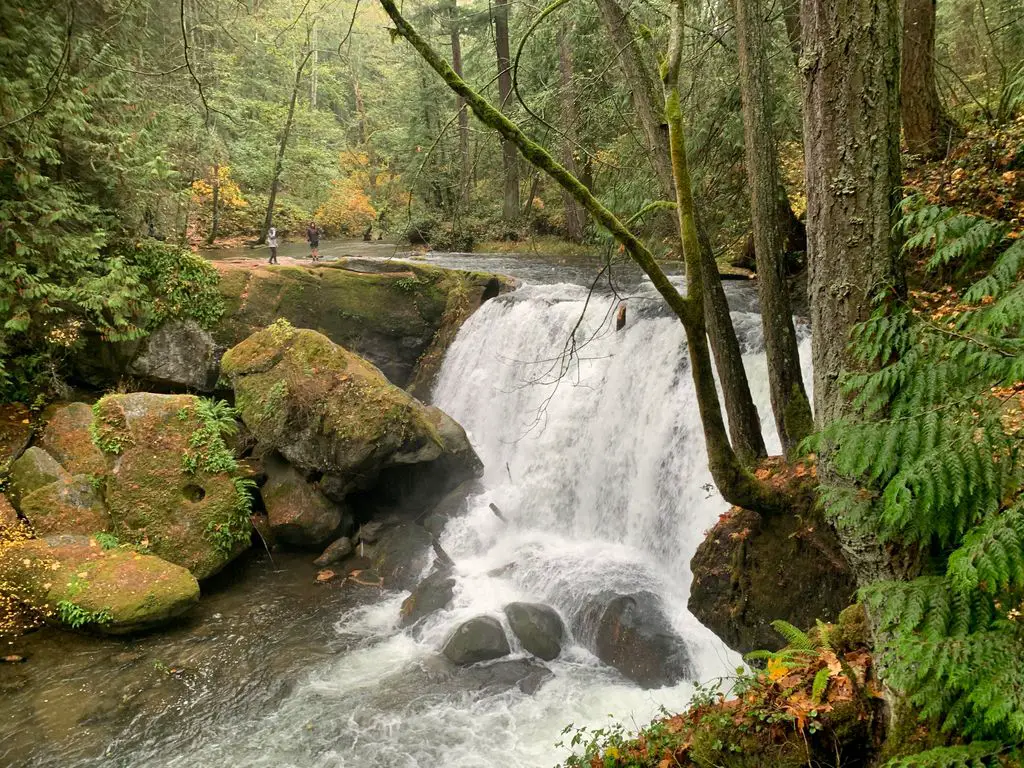 Whatcom-Falls