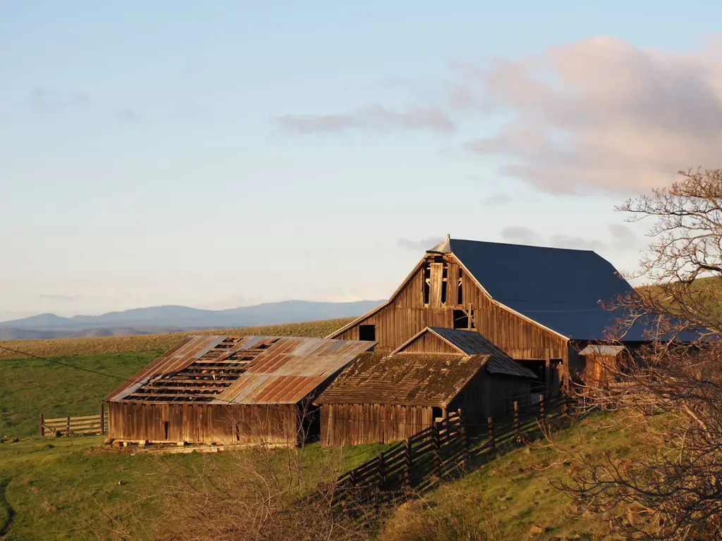 Dalles-Mountain-Ranch-1