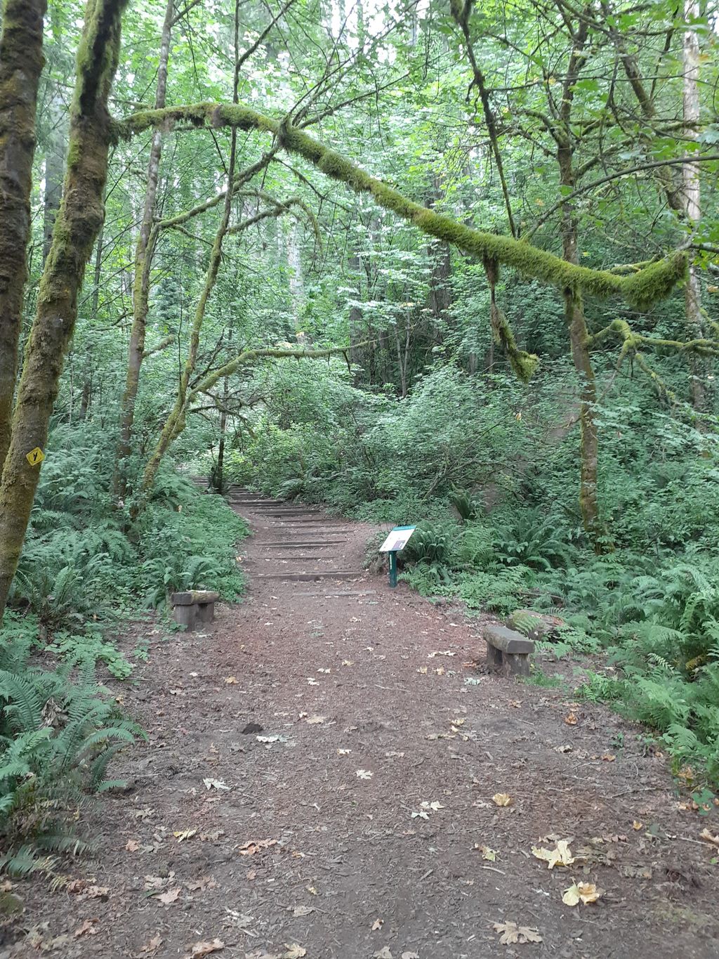 Friends-of-Seminary-Hill-Picnic-Shelter