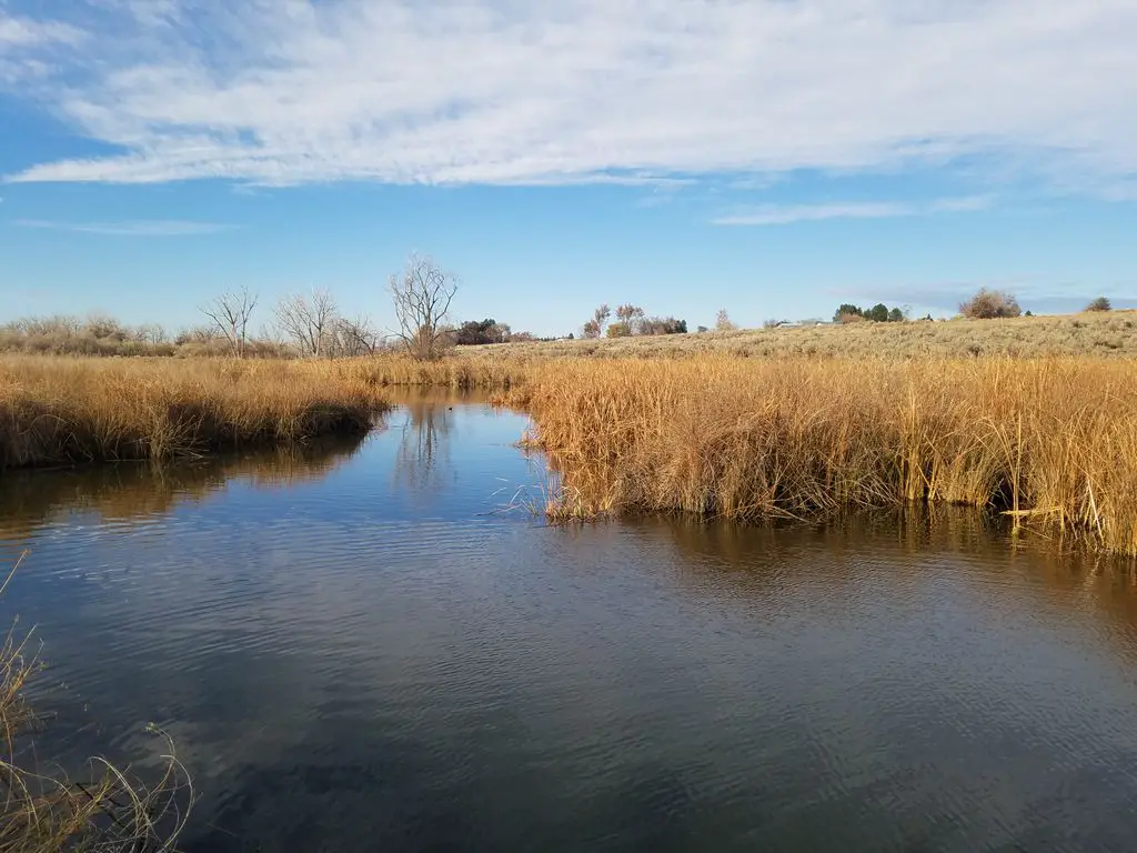 McNary-National-Wildlife-Refuge