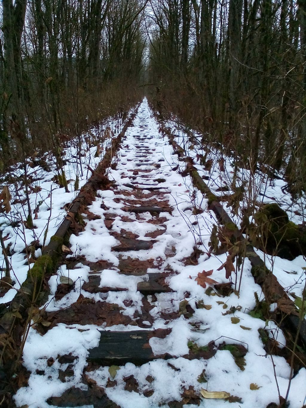 Old-Milwaukee-road-Bridge-1