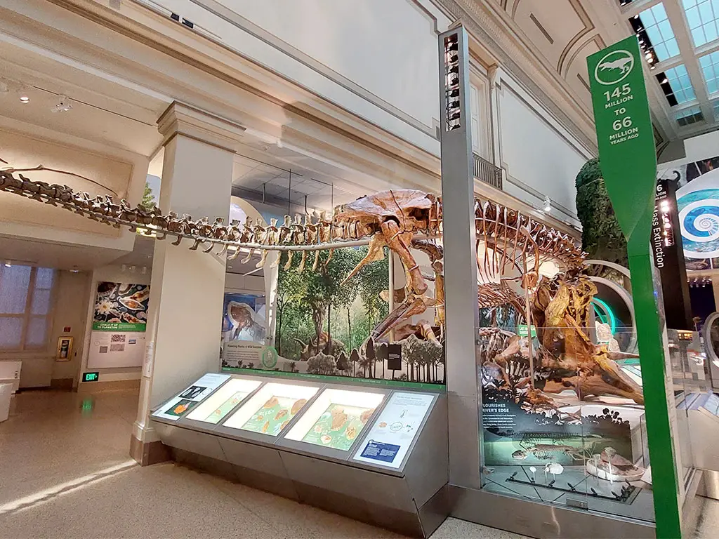biggest museum in washington dc