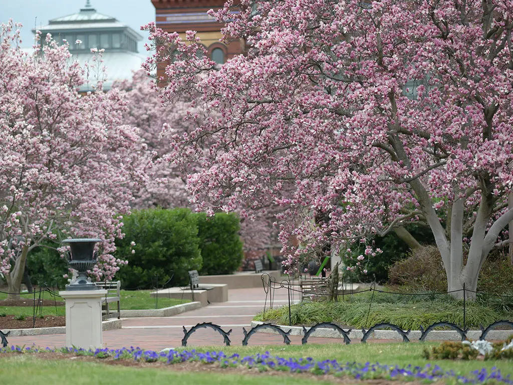 washington dc garden tours