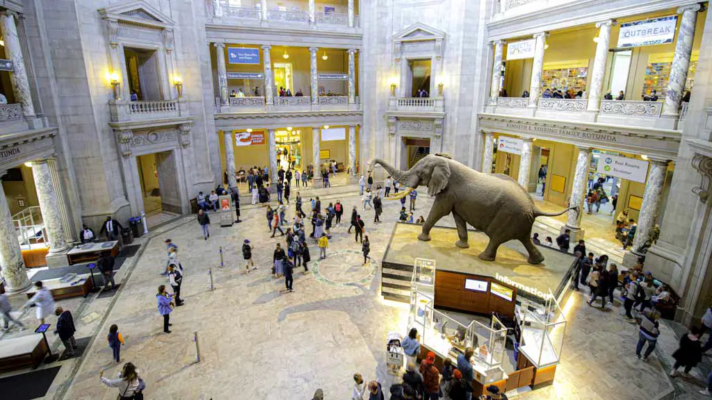 Museums in Washington 