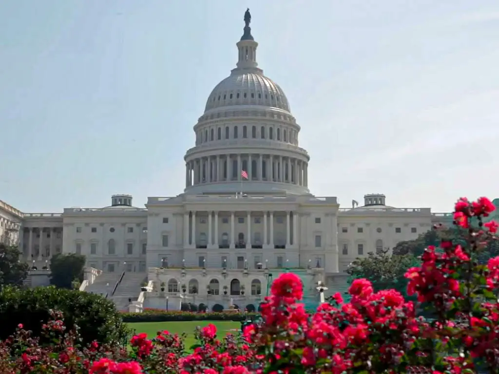 Washington DC Called a National Symbol